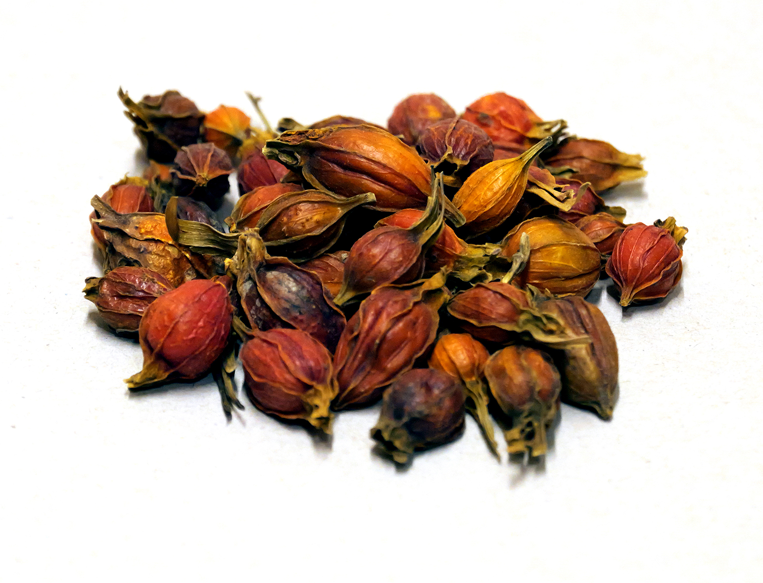 Guang Zhi Zi Scan Vf Zhi Zi (Sheng) - Akadimia E-shop